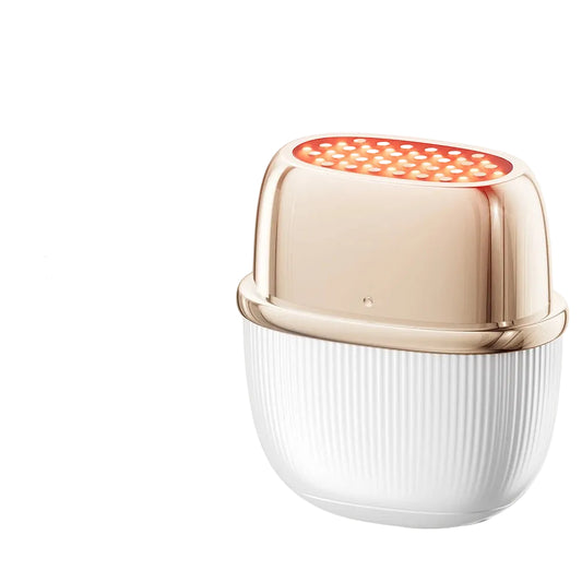 RF & EMS Face Lifting Device (ANLAN)